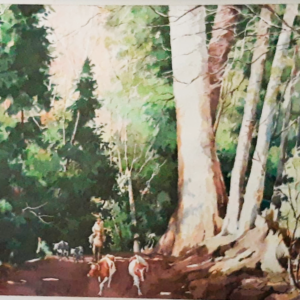 Arriro Parque Reigolil