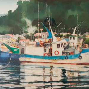 Barco en Chinquihue Puerto Montt